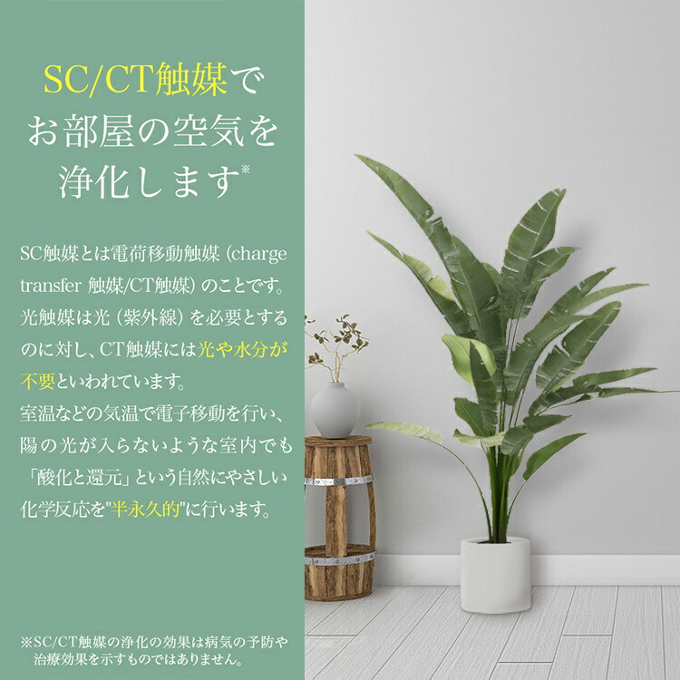 楽天市場】フェイクグリーン 大型 おしゃれ 観葉植物 造花 光触媒 CT