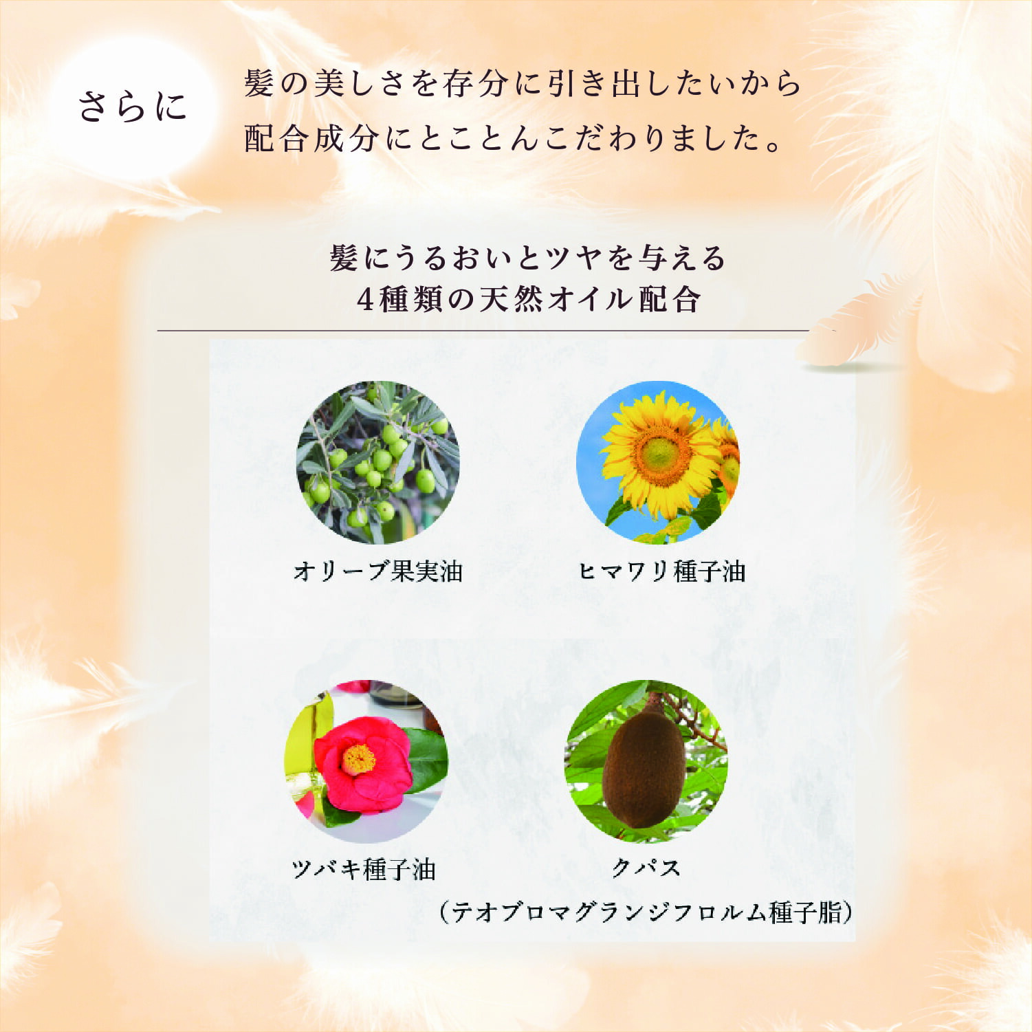 楽天市場】公式 25%OFFクーポン 【 KYOGOKU シグネチャーシャンプー