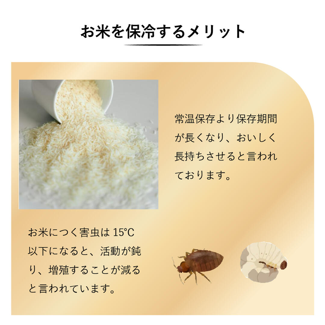 楽天市場】米びつ 保冷 おしゃれスリム 保冷米びつ ライスクーラー お