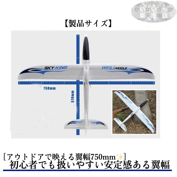 楽天市場】＼P2倍☆2/24まで／[楽天1位]【送料無料】飛行機 RC