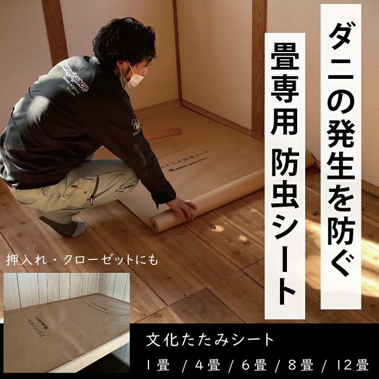 楽天市場】防虫シート 1畳 4畳 6畳 8畳 12畳 畳下 畳防虫シート 床下