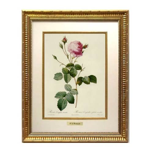 楽天市場】絵画 インテリア ルドゥーテ 絵額 複製画 受注生産 『 レ