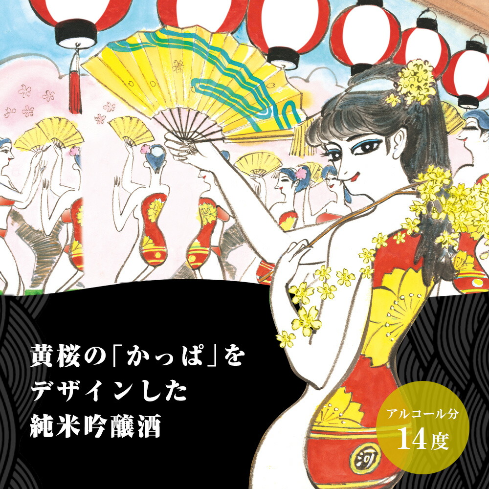楽天市場】日本酒 黄桜公式 かっぱ缶 180ml 30本 純米吟醸酒 ギフト
