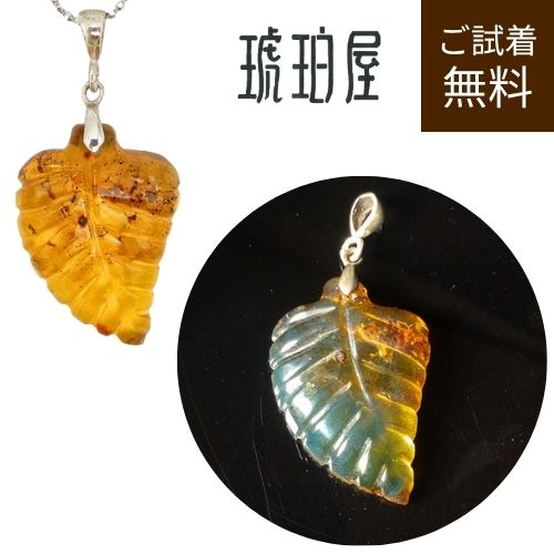 アンバー 琥珀」の人気商品一覧 | 安い商品を通販サイトから探す