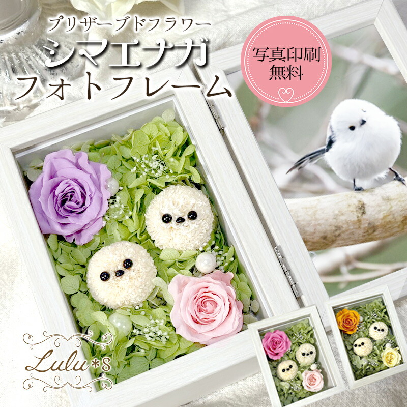 楽天市場】プリザーブドフラワー シマエナガ ウッドフレーム ローズ