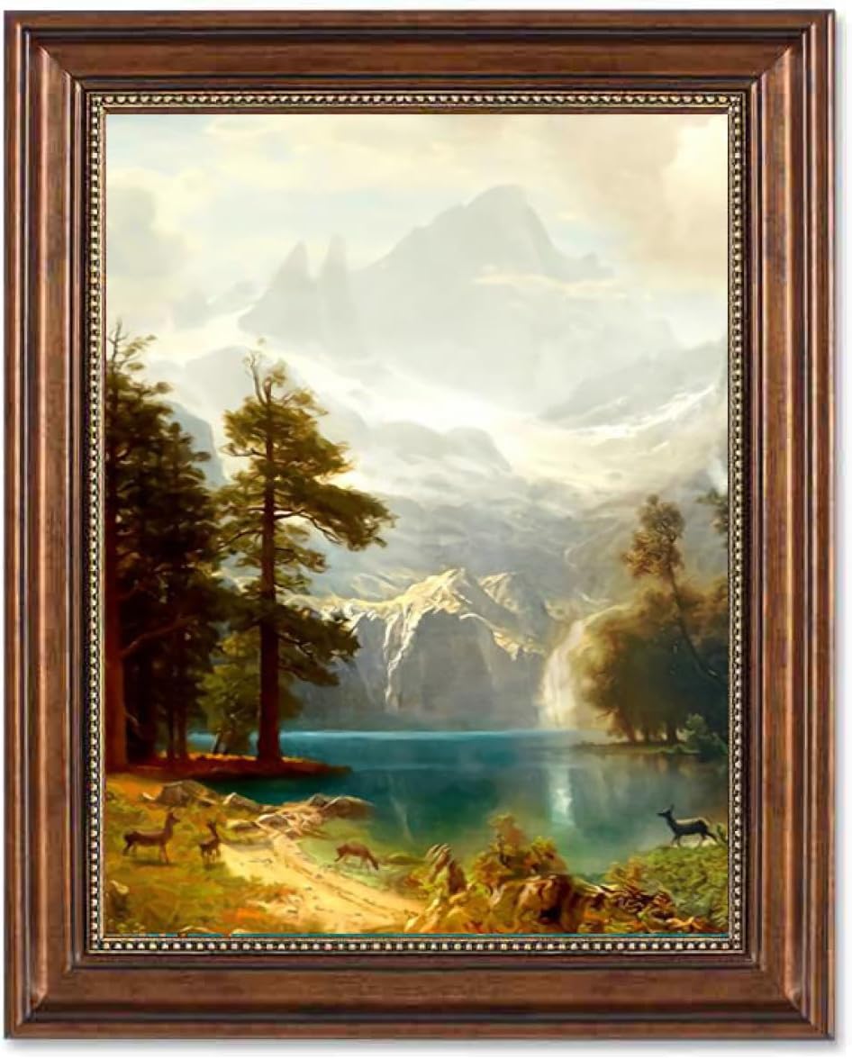 ヘザーブラウン 額」の人気商品一覧 | 安い商品を通販サイトから探す