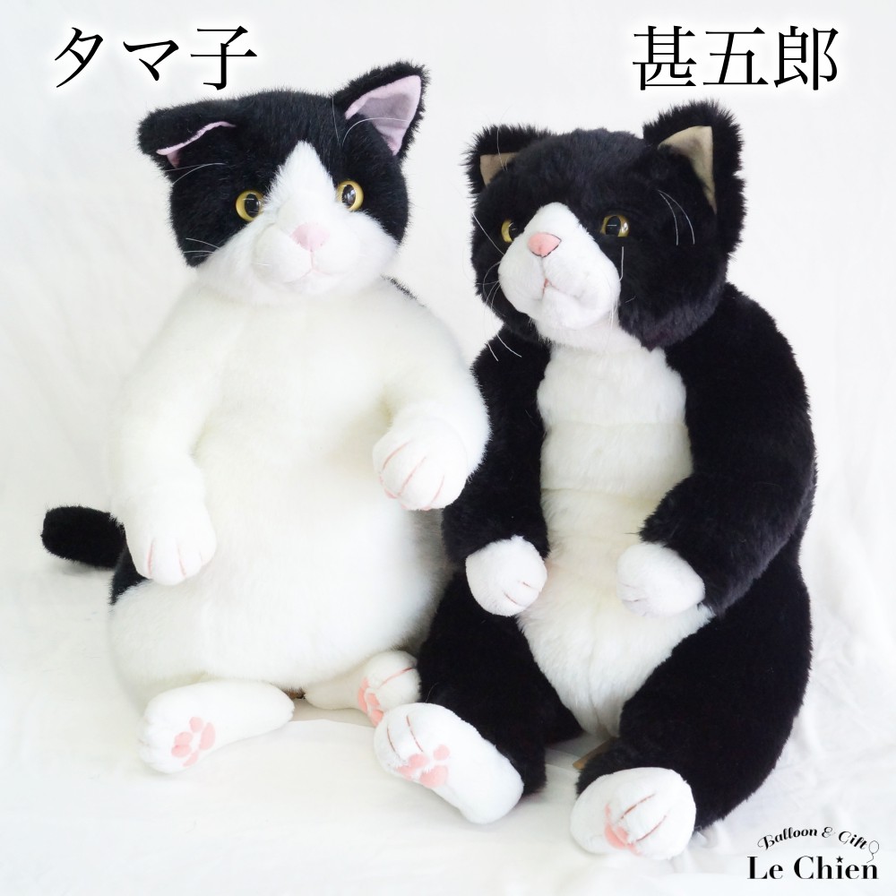 楽天市場】ぬいぐるみ 猫 リアル ハチワレ【タマ子】白黒 cuddly