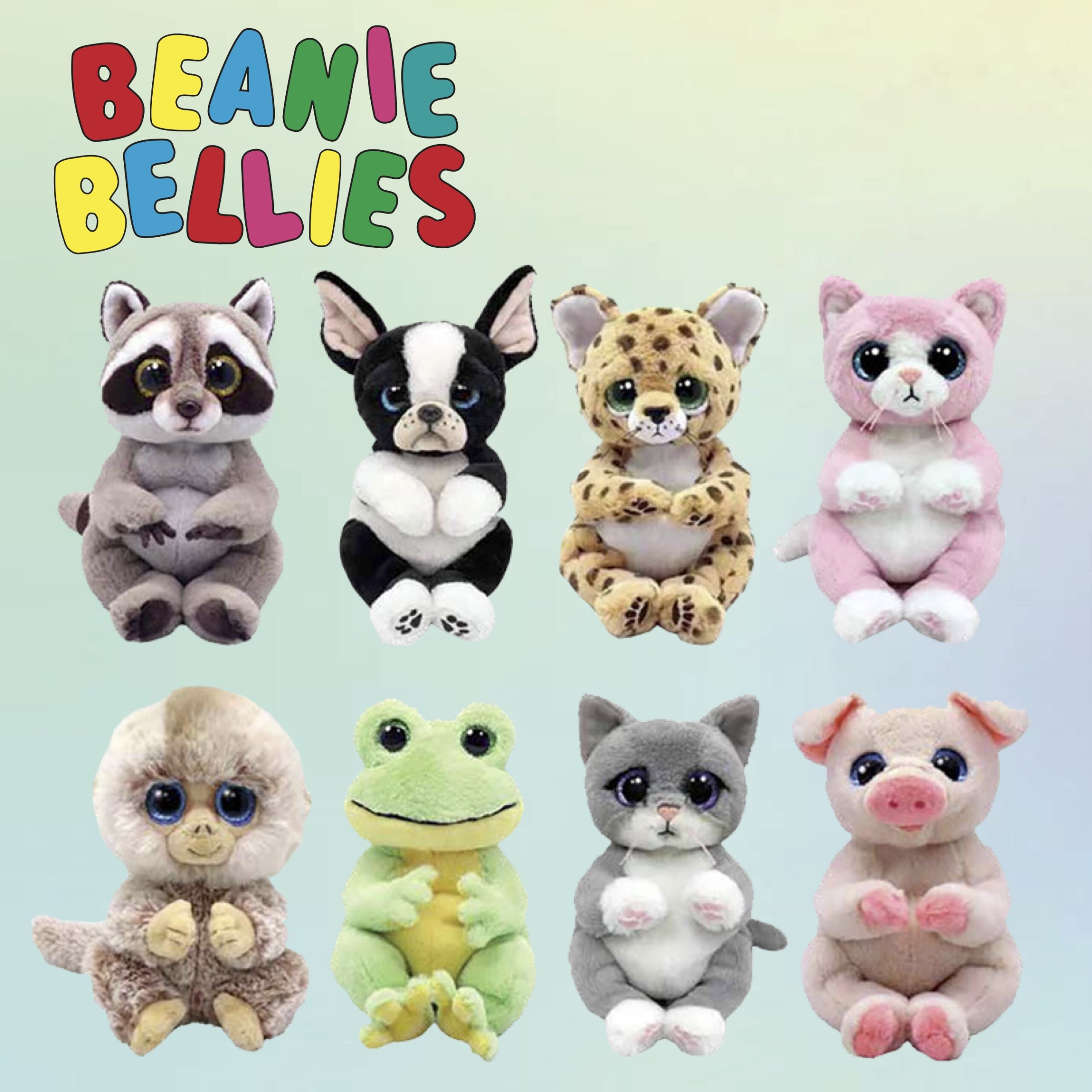 楽天市場】Ty ぬいぐるみ ネコ Beanie Bellies モーガン Mサイズ