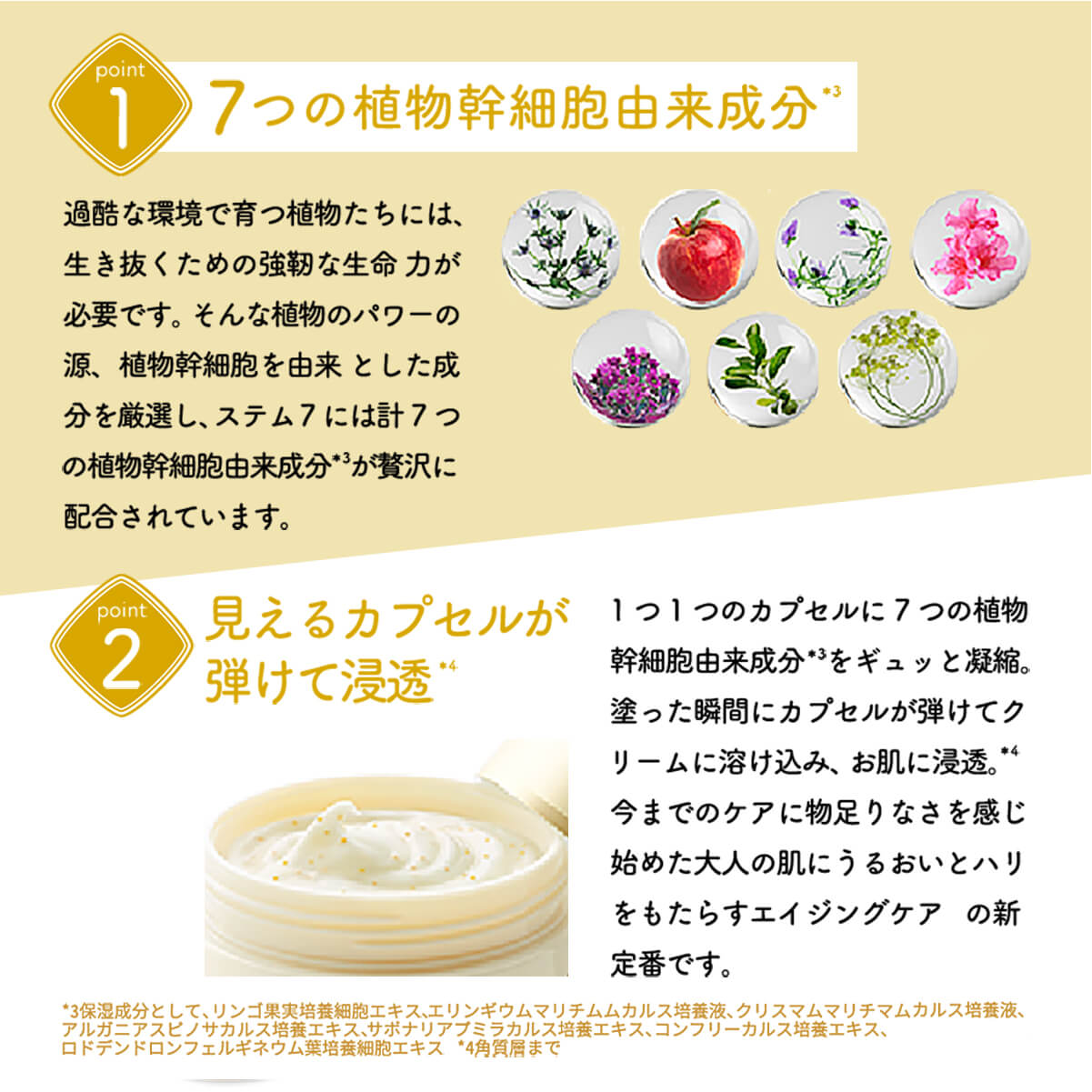 楽天市場】【今だけP5倍】【LDK 受賞】リッツ リバイバル ステム7 LITS