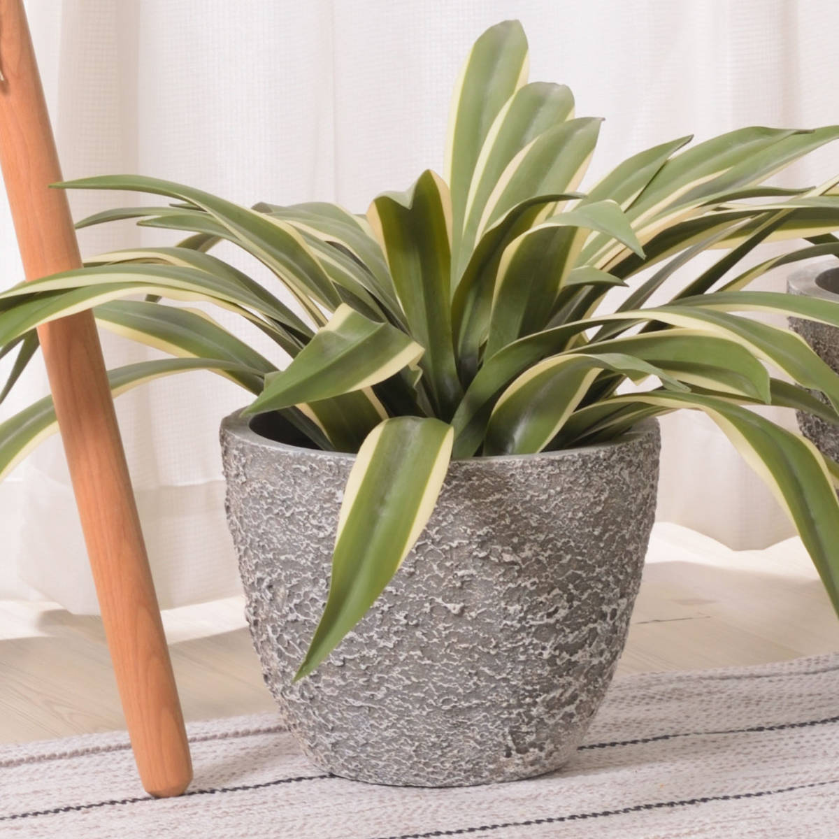 楽天市場】プランター グリーンベース 直径25×高さ20cm （ 植木鉢