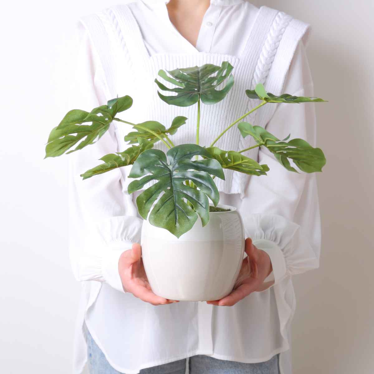 楽天市場】人工観葉植物 ポット モンステラ フェイクグリーン 光触媒