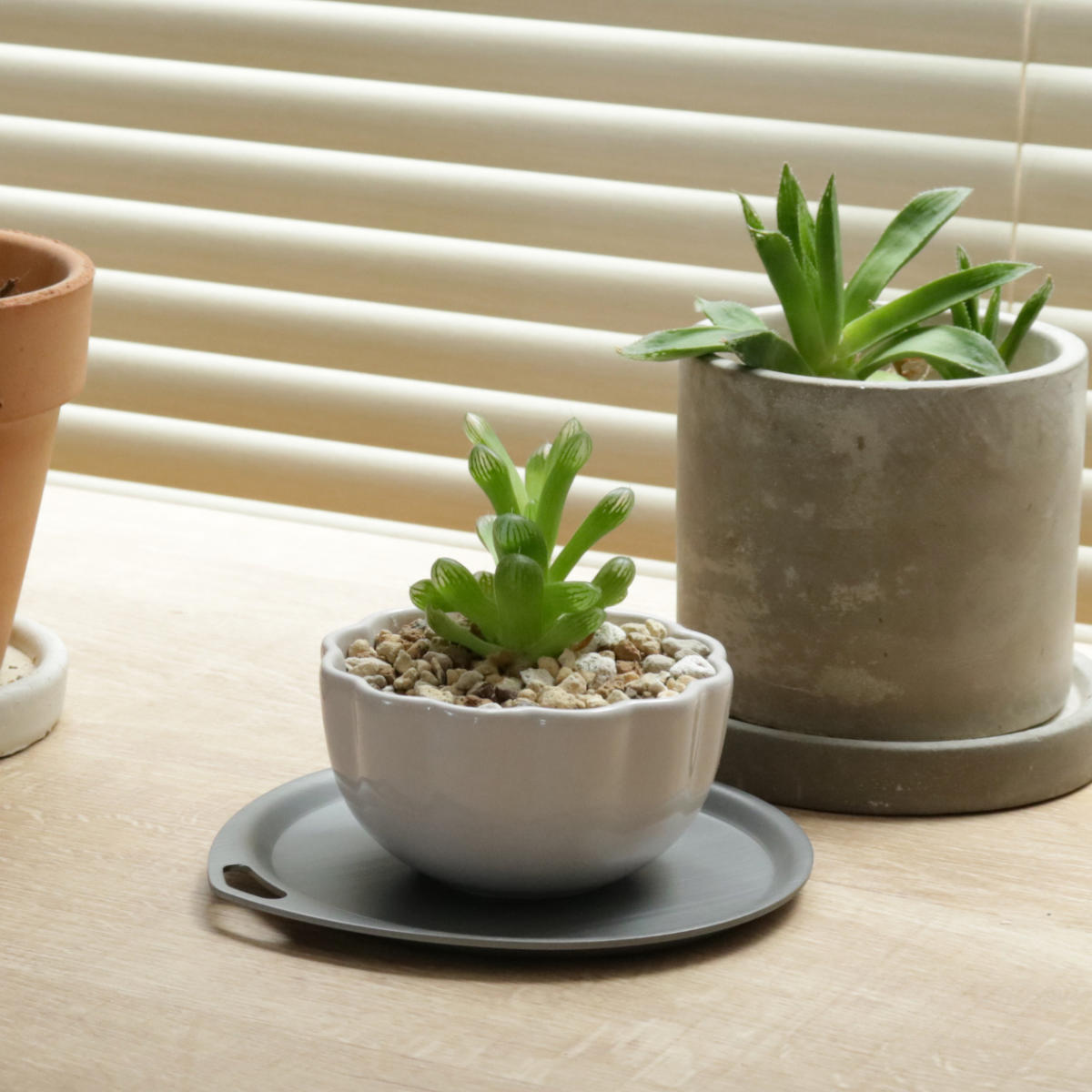 楽天市場】トレー 13cm サークル トリートレイ アルミニウム （ トレイ