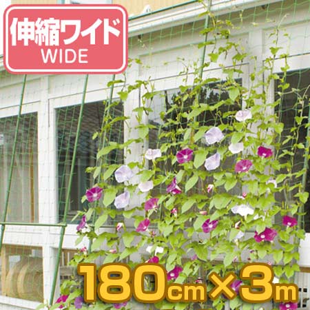 楽天市場】園芸 ネット 花すだれ 1.8m×3.6m ツル性 植物 グリーン