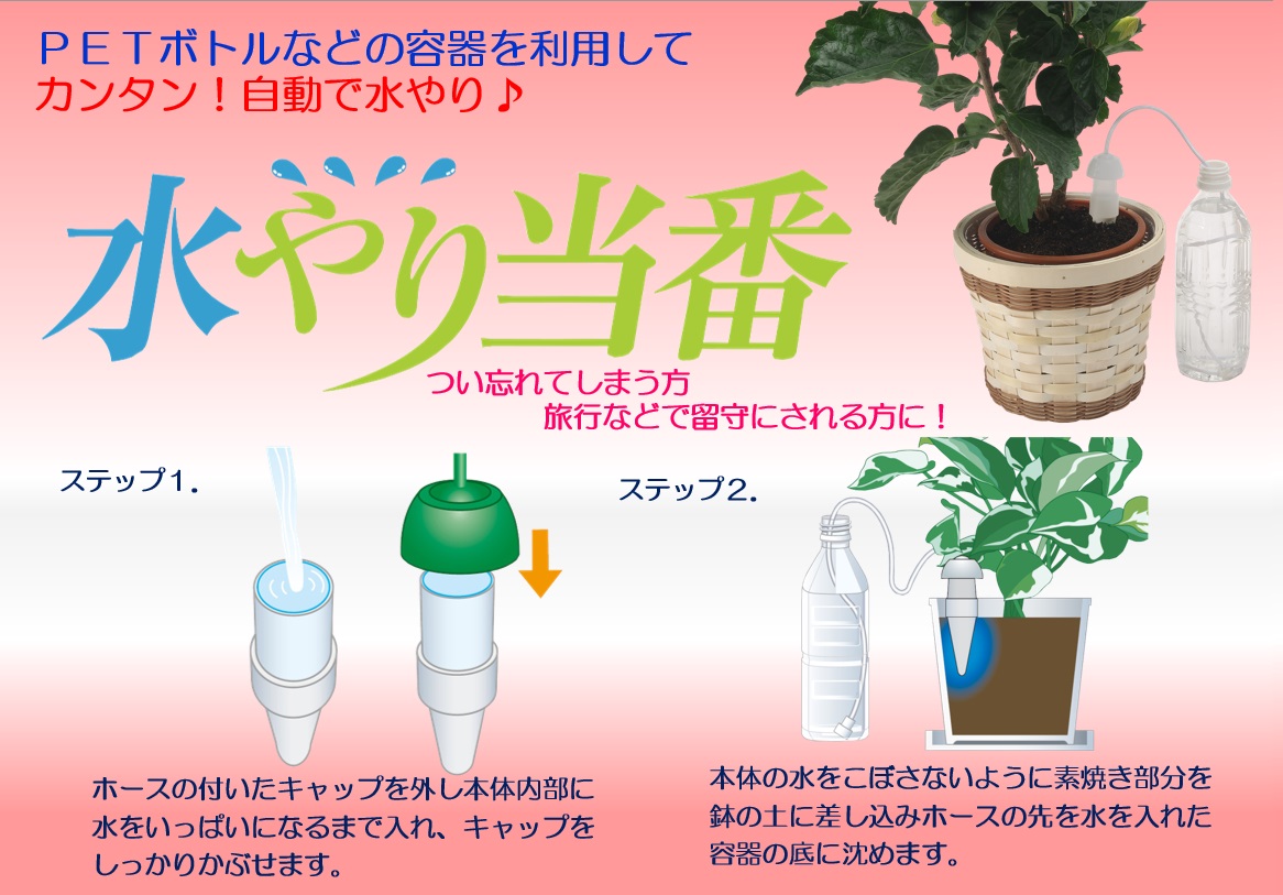 楽天市場】水やり当番 Mサイズ2個入り 〜リニューアル品 自動給水栓 鉢