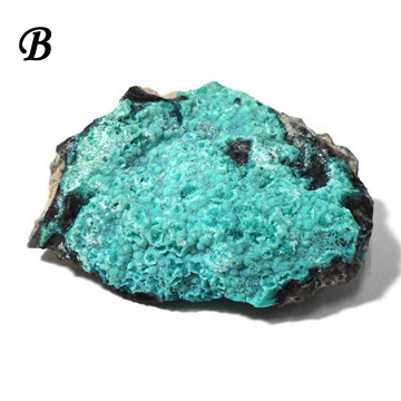 楽天市場】クリソコラ 原石 アメリカ・ニューメキシコ州産 珪孔雀石