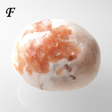 楽天市場】スティルバイト with スコレサイト タンブル インド産