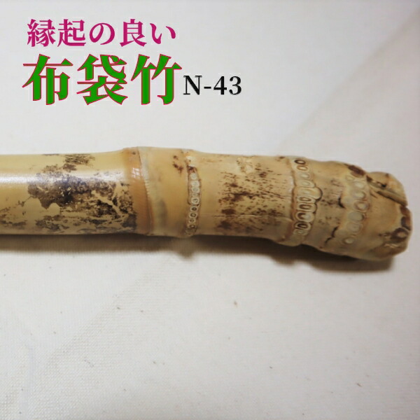 楽天市場】【布袋竹N43】 杖に最適（黄門さま気分） : はっぴ専門店