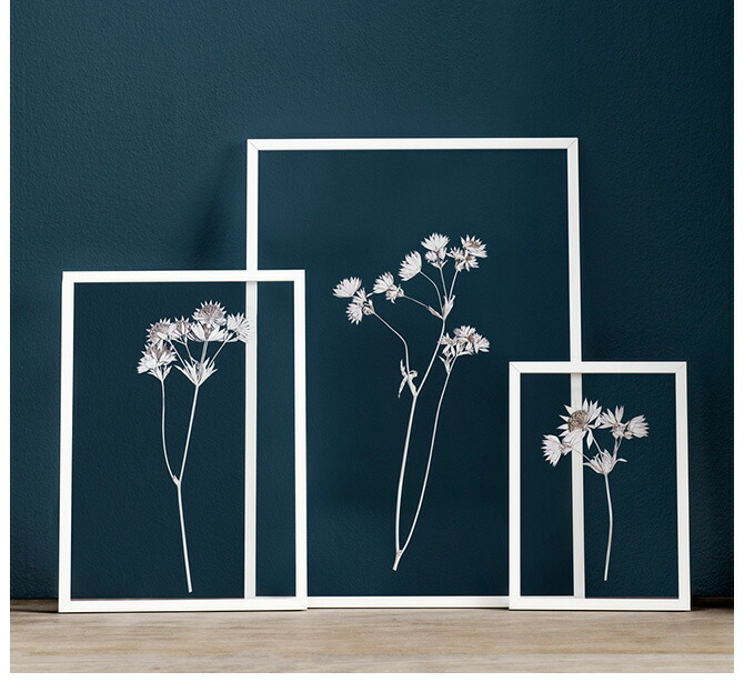 楽天市場】MOEBE ムーベ FRAME フレーム A3 【ラッピング対応