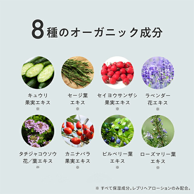 楽天市場】公式【RSL出荷】レブリシリーズ LEVULI シャンプー