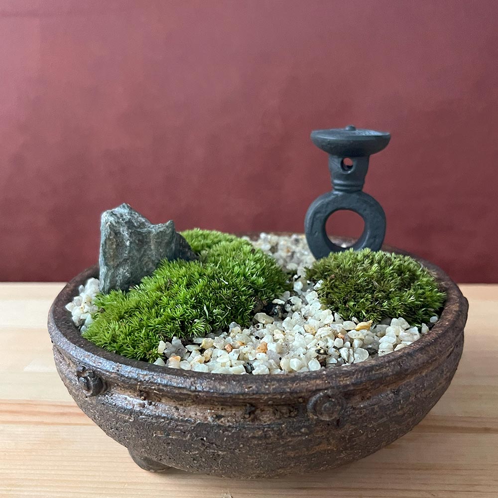 楽天市場】苔が主役の苔盆栽 古都の趣ある神社の風景 信楽焼平鉢 三波