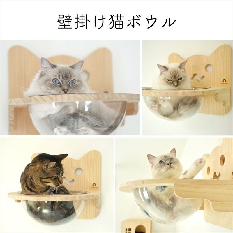 楽天市場】壁掛け 猫ボウル キャットステップ 穴あけ不要 完成品
