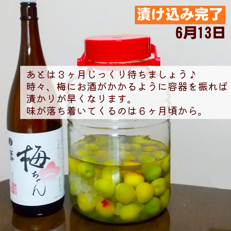 楽天市場】【楽天1位6冠】＼果実酒用 清酒／漬ける 梅ちゃん 1800ml