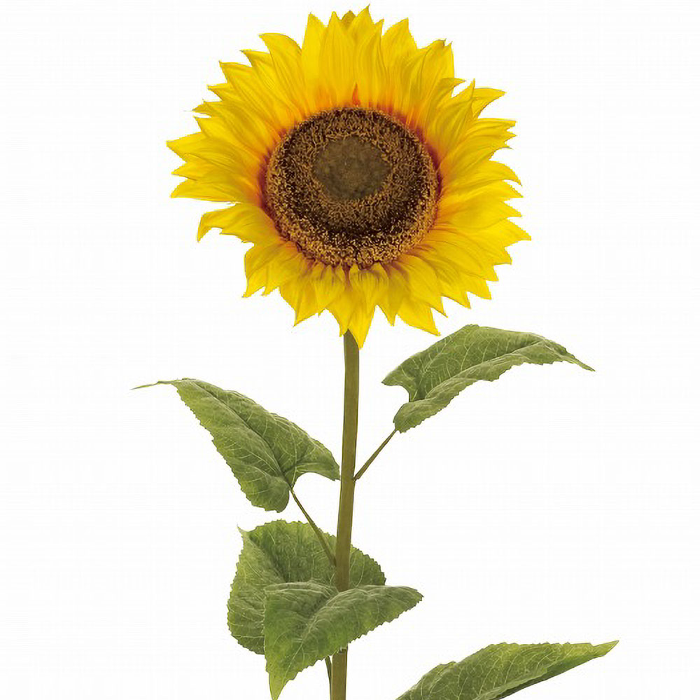 楽天市場】ひまわり 造花 大型 おしゃれ 人気 おすすめ リアル