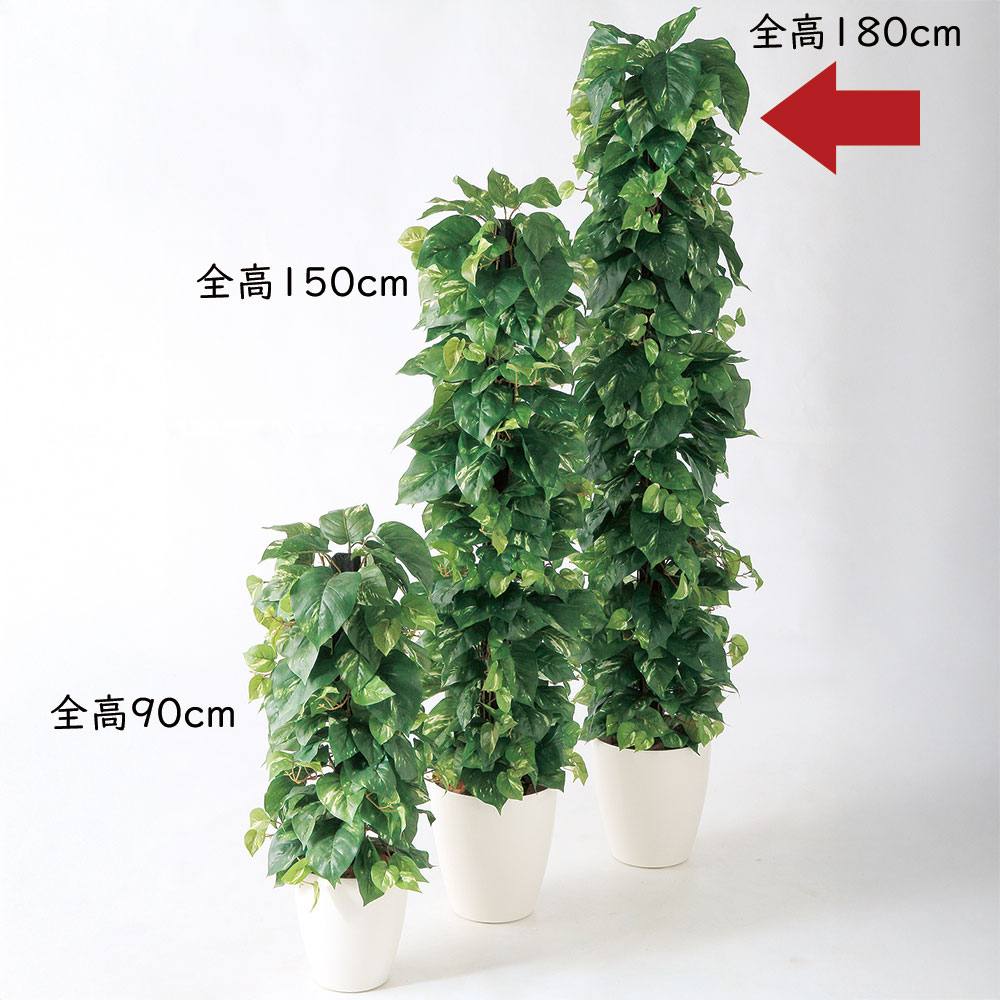楽天市場】ポトス 支柱 ヘゴ 大型 フェイクグリーン おしゃれ 人気