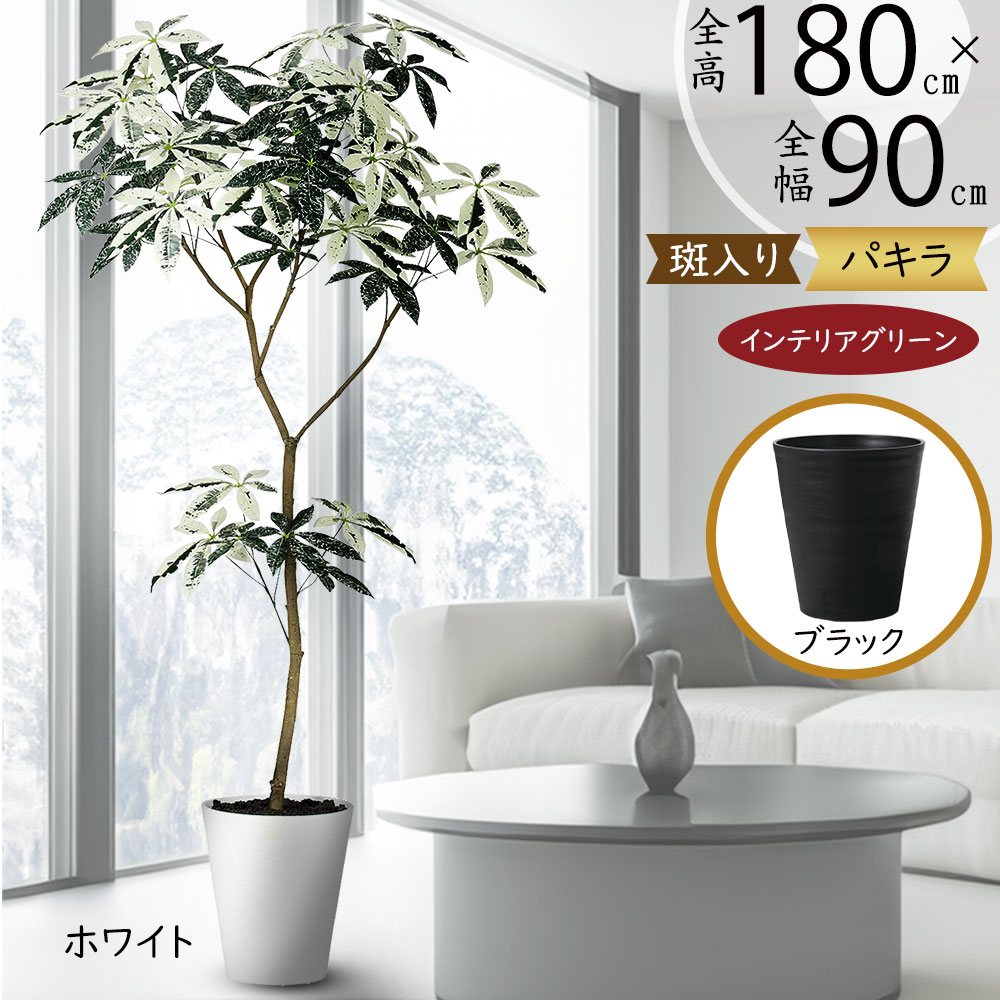 楽天市場】フェイクグリーン 大型 観葉植物 パキラ ミルキーウェイ