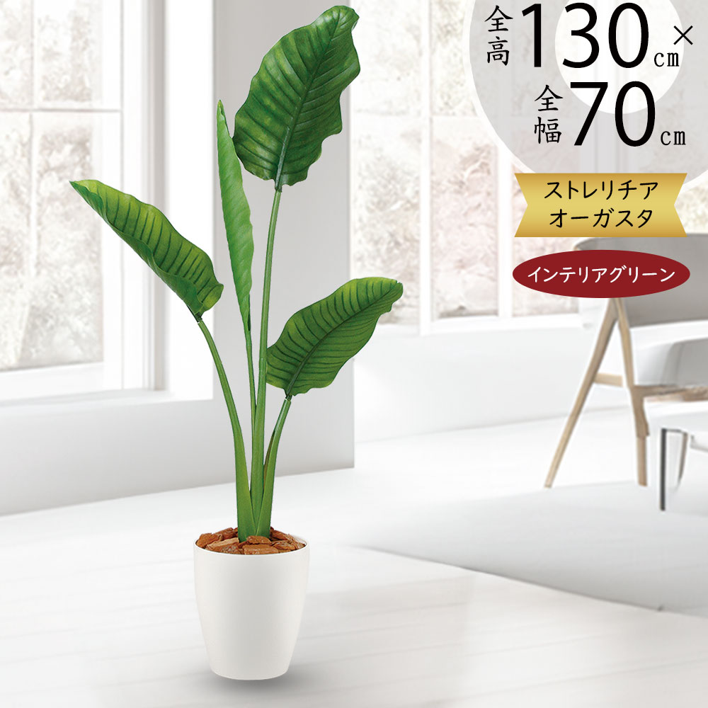 楽天市場】ストレリチア ストレチア フェイクグリーン おしゃれ 人気