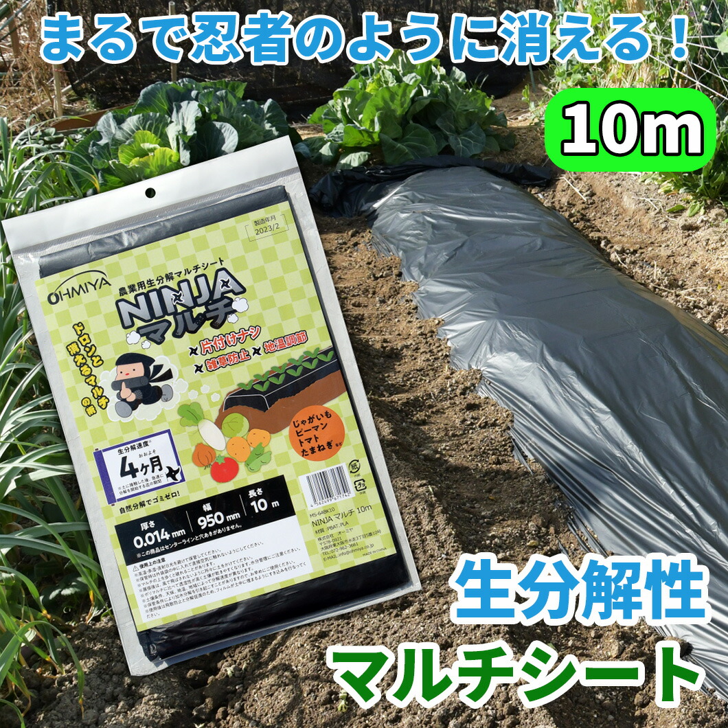 生分解マルチ」の人気商品一覧 | 安い商品を通販サイトから探す - 価格.com