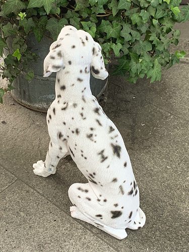 楽天市場】ダルメシアン(ブラックスポット）ガーデニング 犬 置物