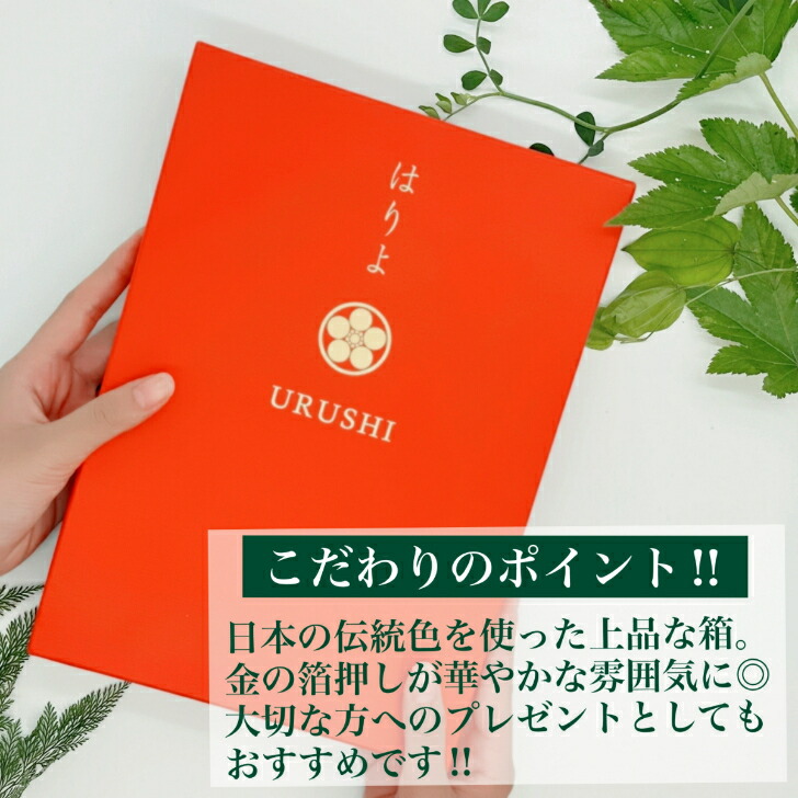 楽天市場】うるし屋さんの初めての伝統銀継ぎセット 播与漆行 送料無料