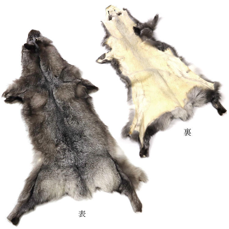 楽天市場】ブルーフロストフォックス ファー 原皮 顔付き ボア 剥製