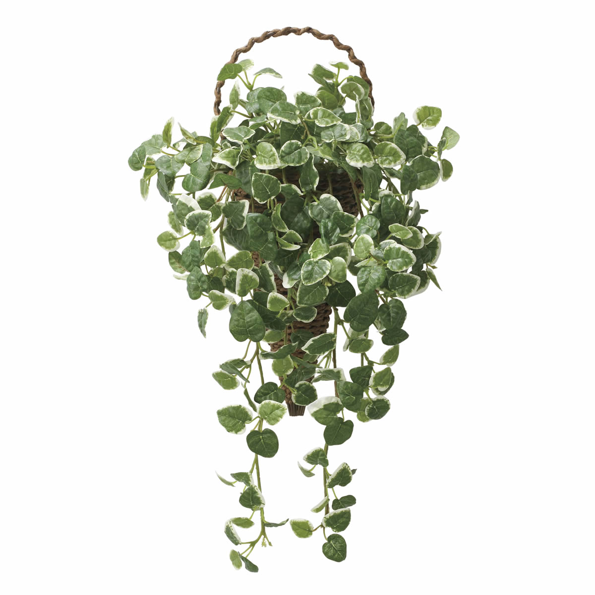 楽天市場】光触媒 光の楽園 壁掛けプミラ【アートフラワー 造花