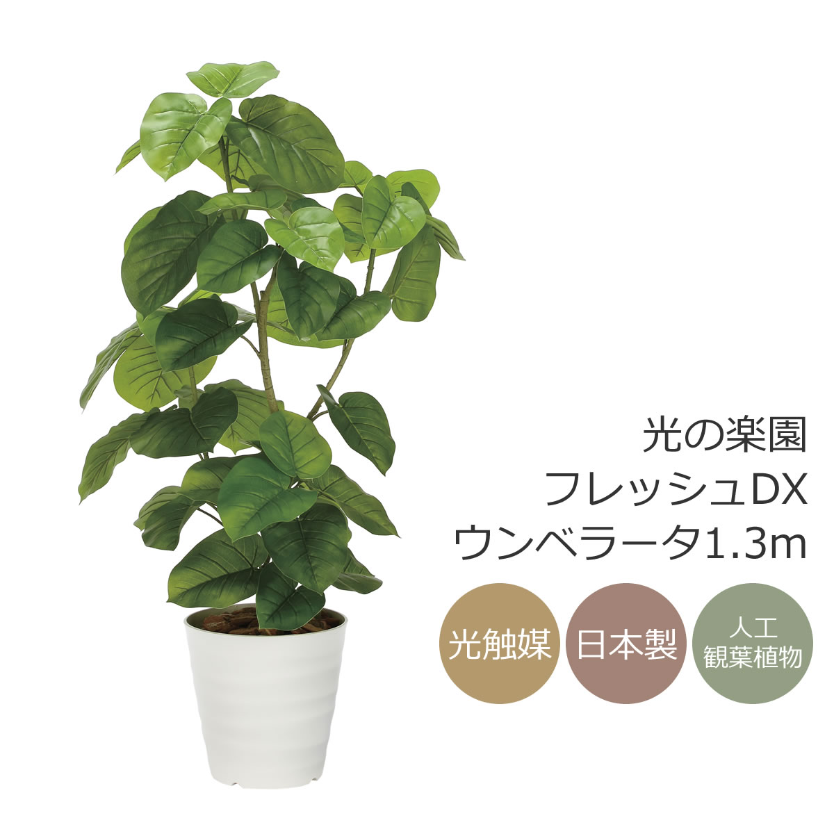 楽天市場】光触媒 光の楽園 フレッシュDXウンベラータ1.3m フェイク
