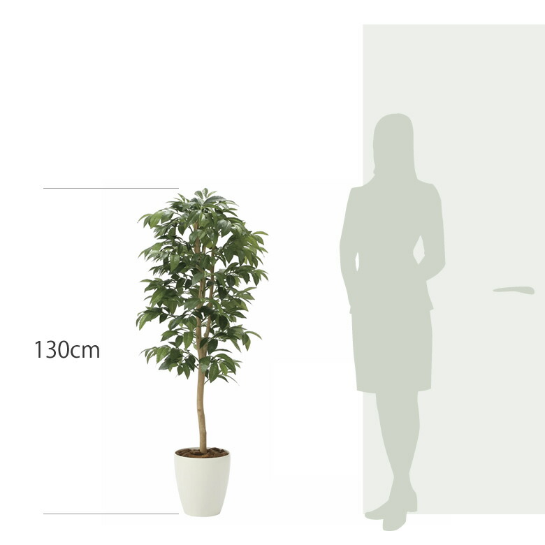 楽天市場】光触媒 人工観葉植物光の楽園 アルデシア(万両) 高さ 1.3m