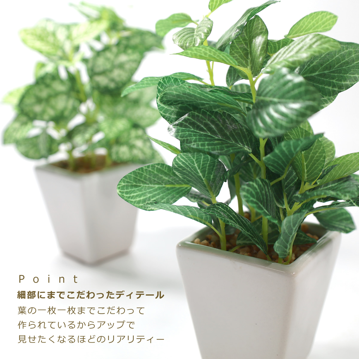 楽天市場】光触媒 光の楽園 卓上 グリーン フェイク 人工観葉植物