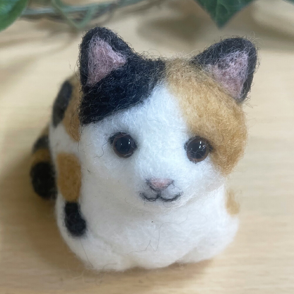 楽天市場】アクレーヌスターターセット付き 三毛猫 手作りキット 香箱