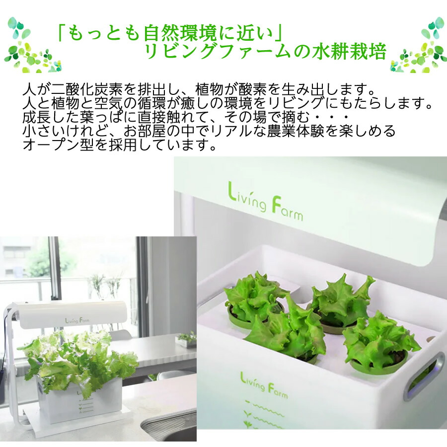 楽天市場】【送料無料】リビングファーム特許 水耕栽培キット 高輝度