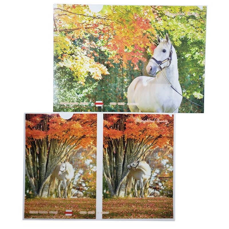 楽天市場】ゴールドシップ号クリアファイル2枚セット【秋】ゴルシの