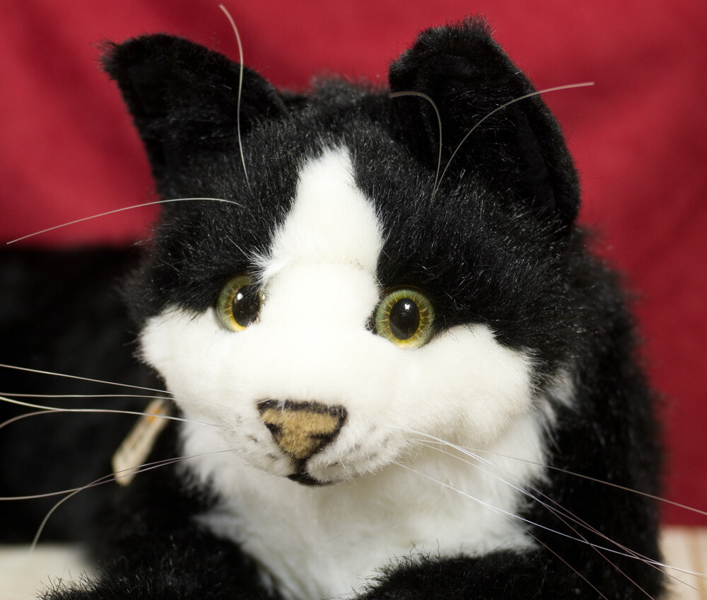 楽天市場】ケーセン ぬいぐるみ Kosen メインクーン「ジョニー」 74cm