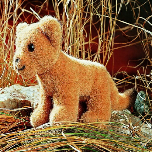 楽天市場】ケーセン ぬいぐるみ Kosen 子ライオン 22cm Lion Cub