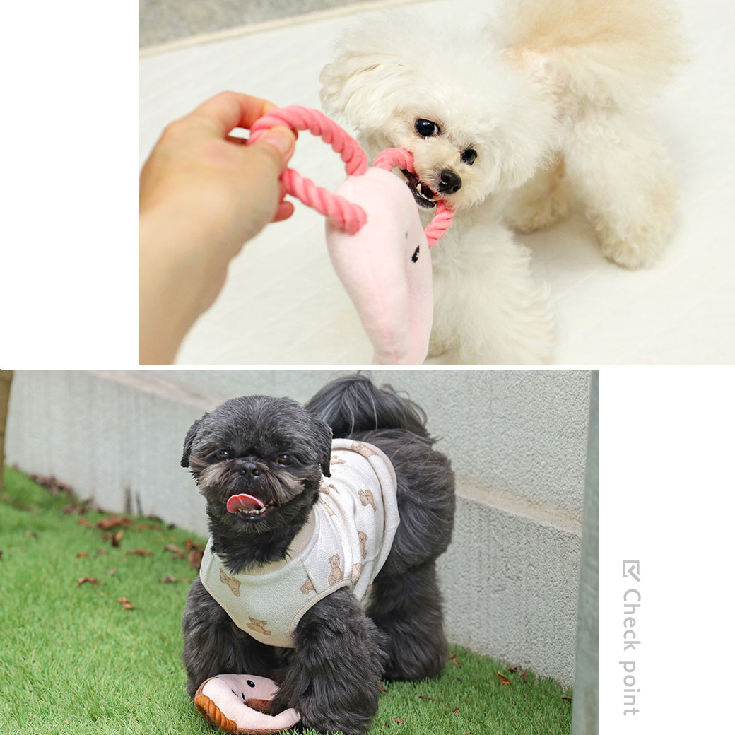 楽天市場】【 犬 おもちゃ 】iDog 穴あきアニマル 鳴き笛入り アイ