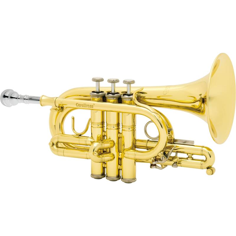 楽天市場】ポケットトランペット c管の通販