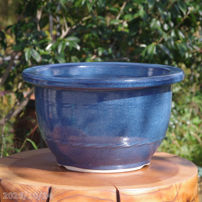鉢 盆栽鉢 12号」の人気商品一覧 | 安い商品を通販サイトから探す