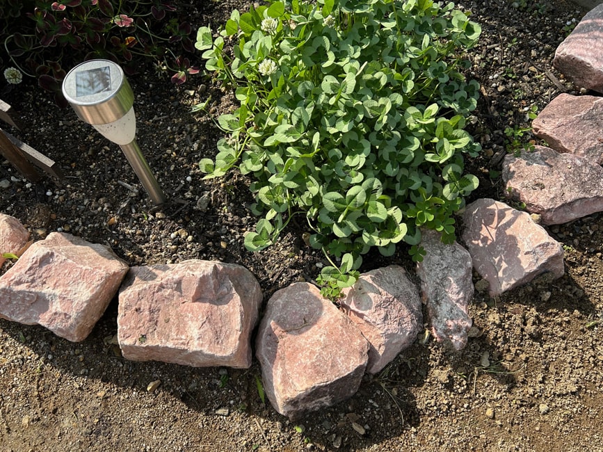 楽天市場】庭石 ピンク 割栗石 庭 ロックガーデン 石 岩 ガーデニング