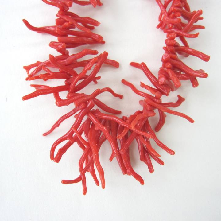楽天市場】イタリア産 赤珊瑚 枝 ネックレス SILVER 51センチ 宝石