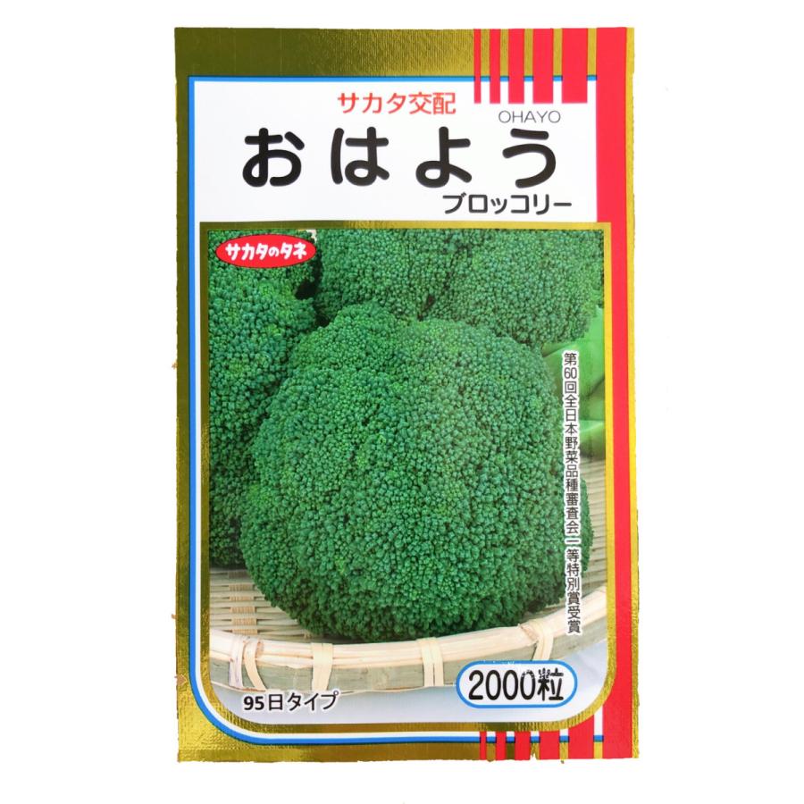 楽天市場】【 おはよう 】 ブロッコリー 種 ブロッコリーの種 サカタの