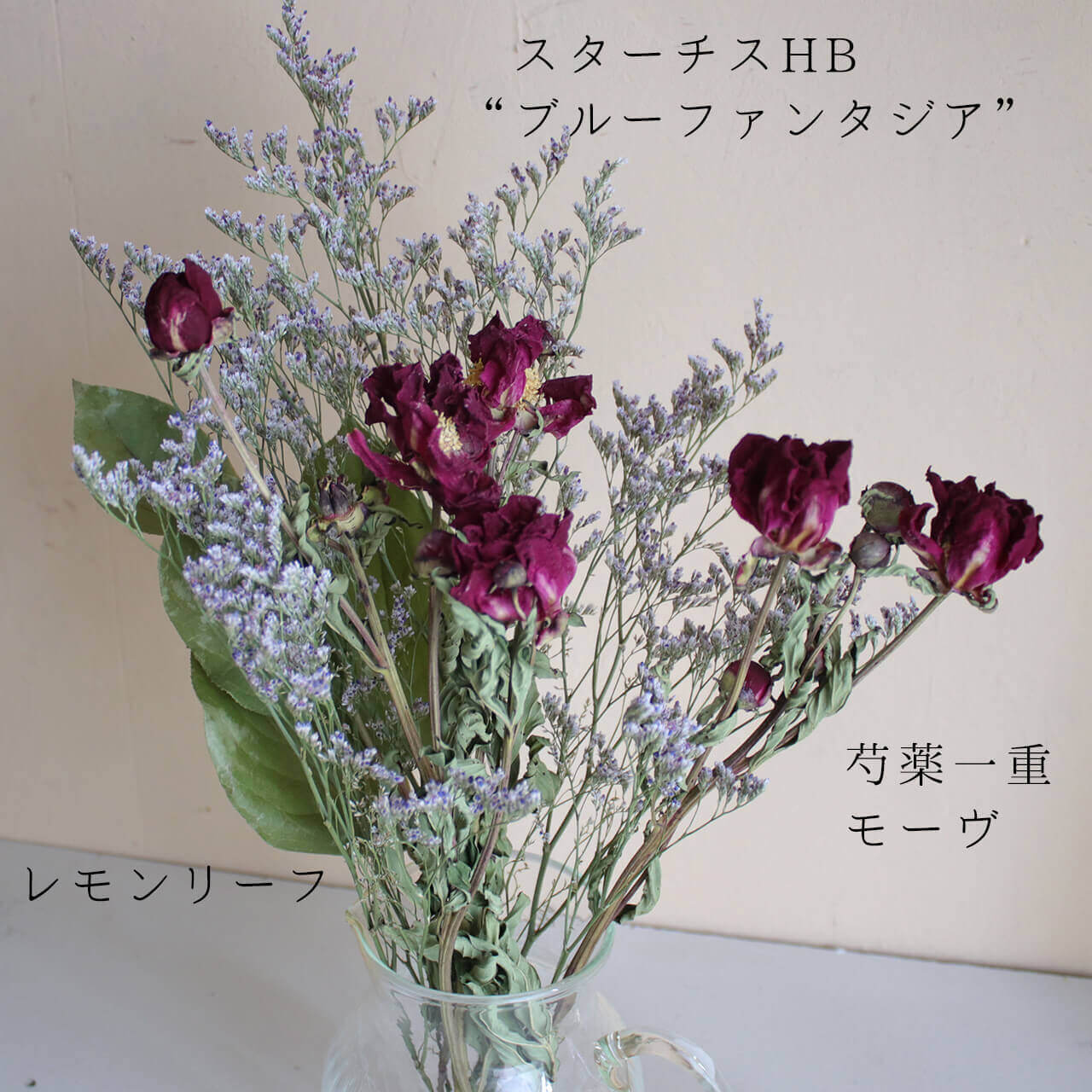 楽天市場】スターチス HBチース ブルーファンタジア / ドライフラワー